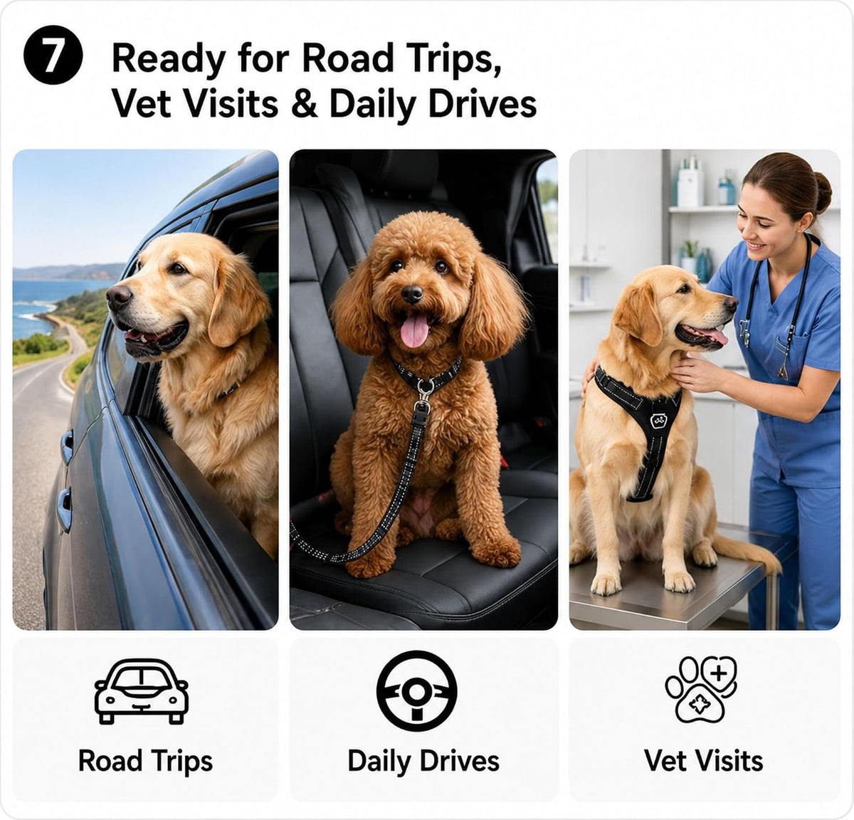 Dog Seat Belt 2Pcs, Retractable Pet Car Harness, Adjustable Dog Seat Belts | Nylon Pet Seat Belt for Vehicle, Safety with Elastic Bungee (Black)