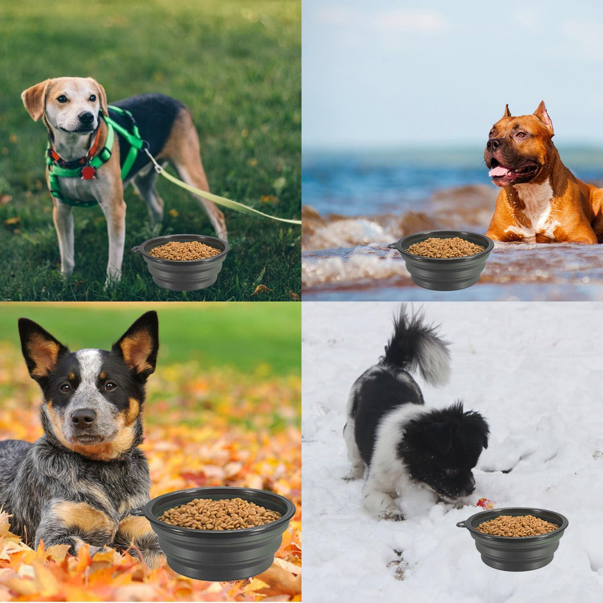 Collapsible Dog Bowls, 2-Pack Foldable Bowls for Dog | Expandable Cup Dish for Pet Cat Hiking Food Water Feeding Dog Travel Bowl